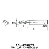 不二越 GSX MILL 4枚刃 2.5D GSX41600Pー2.5D 1本（直送品）