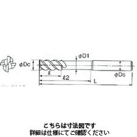 不二越 GSXMILLVLロングシャンク1.5D Ti・SUS用 GSXVLLS4030Tー1.5D 1本（直送品）