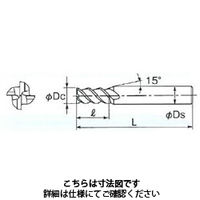 不二越 X’Sミルジオ 4XSGEO 9.9X10 1本（直送品）