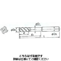 不二越 X’Sミルジオロングシャンク 4GEOLS 17X16 1本（直送品）