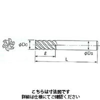 不二越 GSXVL多刃 GSXVL6200ー2.5D 1本（直送品）