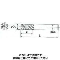 不二越 GSXMILL VL多刃 2.5D Ti・SUS用 GSXVL6100Tー2.5D 1本（直送品）