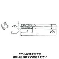 不二越 GSX MILL VL ラフィング 2.5D GSXVLRE4140ー2.5D 1本（直送品）