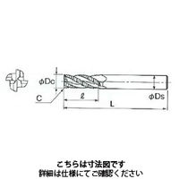 不二越 GSミルヘビー GSHV4100SF 1本（直送品）