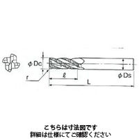 不二越 GSミルラフィングラジアス GSRE4120SFーR10 1本（直送品