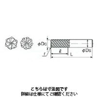 不二越 GSミルハードラジアス GSH 6080SFーR02 1本（直送品）