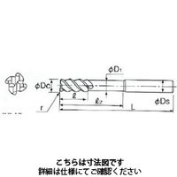 不二越 X’Sミルジオラジアスロングシャンク 4GEOLS 20XR1 X20 1本（直送品）