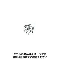 不二越 GSXMILLVL多刃ラジアス2.5D GSXVL6100ーR10ー2.5D 1本（直送品）