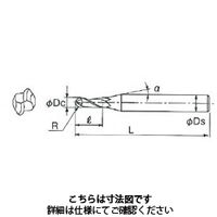 不二越 GSXミルボール GSXB20200 1本（直送品）