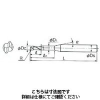 不二越 X’Sミルジオボールロングシャンク 2GEOLSR 10 X20 1本（直送品）