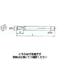 不二越(NACHI) 超硬エンドミル オーバルミル （楕円エンドミル） OVM 6