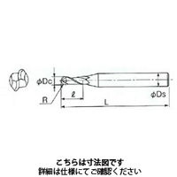 不二越 アンカーV ボール 2CER R 6 X12 1本（直送品）