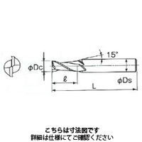 不二越 DLCミルシャープコーナ2枚刃 2DLCSC 4.0 X 6 1本（直送品）