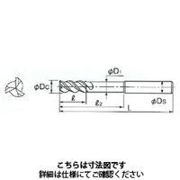 不二越 DLCミルスロット ロングシャンク DLCSLTLS 20 X 1本（直送品）