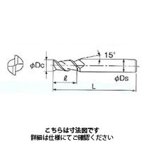 不二越 DLCミルラジアス 2DLCM 12XR1.0X12 1本（直送品）