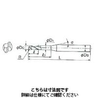 不二越 DLCミルボール 2枚刃 2DLCR 0.75R 1本（直送品）