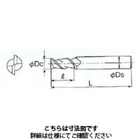 不二越 アンカーV アルミ用 2CEAL 3 1本（直送品）