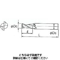 不二越 AGミル 2枚刃 ミディアム 2AGEM 13 x 16 1本（直送品）