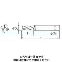 不二越 AGミル 4枚刃 4AGE 45 x 42 1本（直送品）
