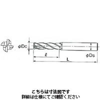 不二越（NACHI） AGミル 4枚刃 ロング 4AGEL 21 x 20 1本（直送品