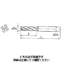 不二越（NACHI） SG-FAXエンドミル ロング ー4NT SL4SGE 18X20 -4NT 1本（直送品）