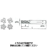 不二越 SGーFAXラフィングEMラージピッチミディアム SGLREM 14X12 ー4NT 1本（直送品）
