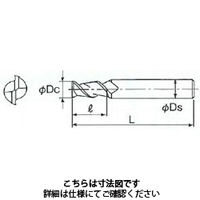 不二越 DLCハイスミル 2DLCHE3.0 1本（直送品）