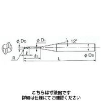 不二越 GSミルロングネックハードボール 2枚刃 GSBNH200300606 1本（直送品）