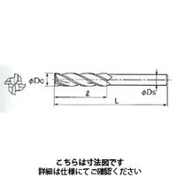 不二越 スーパーハードレギュラシャンク RSL4SE 9X10SL4 1本（直送品）