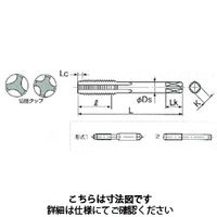 不二越(NACHI) ハンドタップ HT22M2.5X1.5 1セット（3本入）（直送品） - アスクル