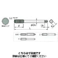 不二越 タフレットーL ロングシャンク TFLL3M0.5X5XBX120 1セット(10本)（直送品）