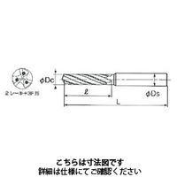 不二越 アクアドリルEX オイルホール 3フルート5D AQDEXOH3F5D1600 1本（直送品）