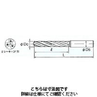 不二越 アクアドリルEX オイルホール 3フルート10D AQDEXOH3F10D0750 1本（直送品）