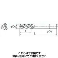 不二越 Gスタンダードエンドミル3枚刃 3GE 12 X12S3 1本（直送品）