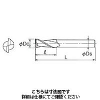 不二越 スーパーハードレギュラシャンク 2RSE 10X10S2 1本（直送品）