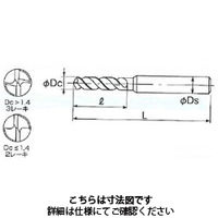不二越 AGーSUSドリルショート AGSUSS1.67 1本（直送品）