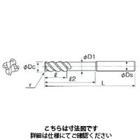 不二越 GSXMILLVLロングシャンクラジアスTiSUS用 GSXVLLS4130TーR20ー1.5D 1本（直送品）