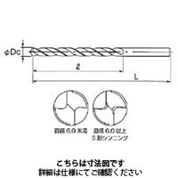不二越 鉄工用ロングドリル パック品 LSDP5.5X150 1パック（直送品）