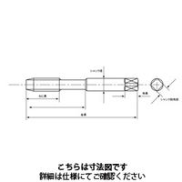 イシハシ精工 TINコーティング ハイスジェットタップ M12X1.5 SKH T