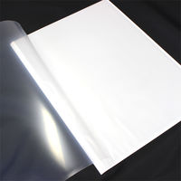 テージー プレゼンファイル 10ポケット 5枚入 PTF-10-06 1袋