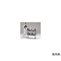 アズワン カルテワゴン(サイドカゴ付) 60型 870×365×987mm 0-047-01 1台（直送品）