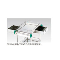 アズワン とっても静かな枠付回診車(2段) 603×453×800mm TS6045W 1台 0-7976-01（直送品）