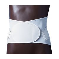 日本衛材 ダイヤサポートII型[腰部固定帯メッシュタイプ] LL NE-564 1セット(2個) 0-5078-04（直送品）