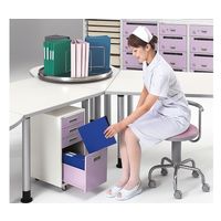 アズワン アルティア カウンター下収納ユニット 290×380×600 NHD-2938 1個 0-7923-11（直送品）