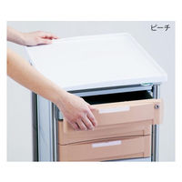 アズワン ナビスメイト・トレイワゴン 8-1607-23 1個（直送品）