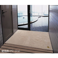 オカ 乾度良好Ag+バスマット ブラウン 700×1000mm 70100BR 1枚 8-5463-10（直送品）