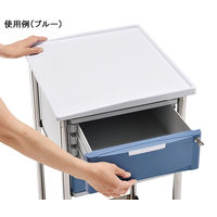 アズワン ナビスメイト・トレイワゴン 補助天板付き 8-5893-22 1個（直送品）