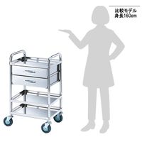 アズワン とっても静かな枠付き回診車(2段引出し) 3段 453×353×942 TS4535Y 1個 8-6457-02（直送品）