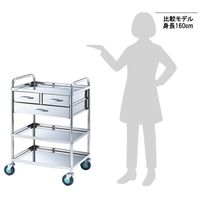 アズワン とっても静かな枠付き回診車(2段引出し) 3段 603×453×942 TS6045Y 1個 8-6457-04（直送品）