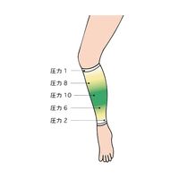 ハヤシ・ニット アシカール ブラック 7421 1セット(4枚:2枚×2箱) 8-6601-03（直送品）